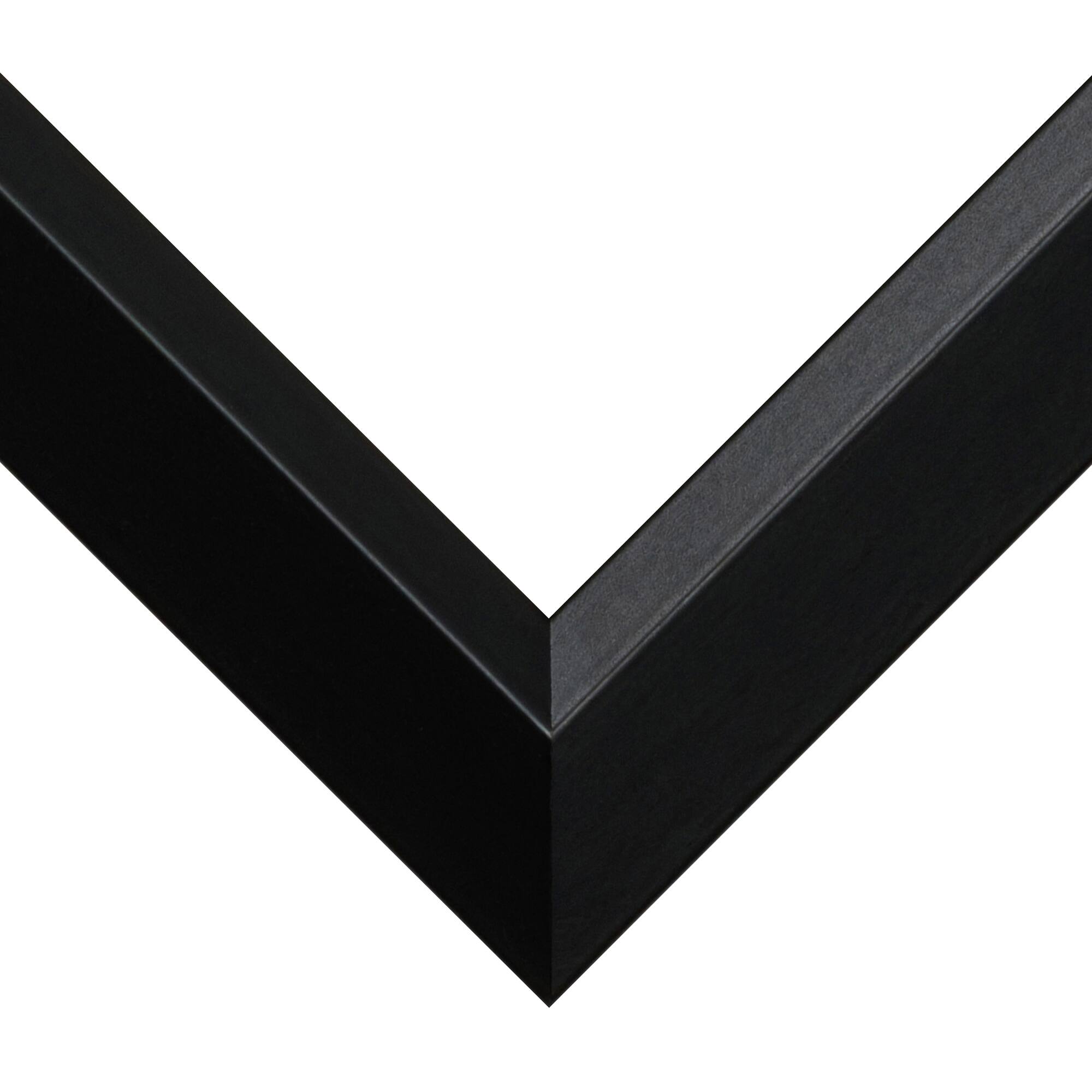 Frame USA Black Series Narrow Black Single Image Picture Frame with Mat